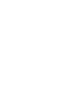 Ferrion